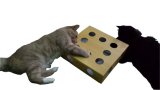 New Pet Peek Maze Box Toy