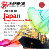 Sea Freight From Shanghai, Ningbo, Shenzhen, Guangzhou to Tokyo, Nagoya, Osaka, Yokohama
