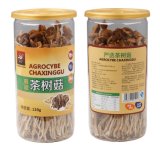 Edible Fungus Yuewei Agrocybe Chaxinggu
