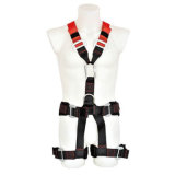 Full Body Safety Harness with 4D Ring