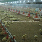 Automatic Poultry Equipment for Broiler (sh065)