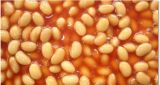 Canned Soybeans in Tomato Sauce/Canned Food/Canned Beans