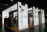 High Quality Freestanding LED Fabric Light Box