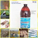 Seaweed Microbial Aquaculture Feed Additive