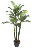 SGS Standed Artificial Palm Tree in House 0117