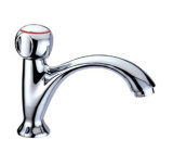 Contemporary & Competitive Cold Water Faucet (TRC1006)