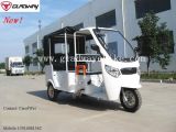 Electric Tricycle (TN02)