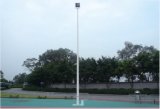 Galvanized Street Lamp Pole