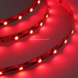 LED Ribbon Light Strip (EL-WS5050R60)