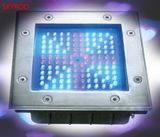 LED Down Light