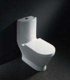 Flush Toilet (Z2060363)