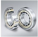 Auto Bearing - Cylindrical Roller Bearing