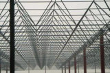 China Manufacturer of Steel Structure Building