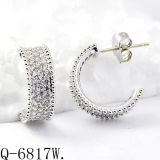 New Design 925 Silver Fashion Earrings Jewellery (Q-6817W)