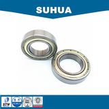 Single Row Thin Section Deep Groove Ball Bearing (6804ZZ)