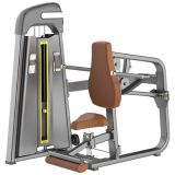 2015 Newest Fitness Equipment Seated DIP (SD1013)