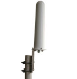 Dual Band Omni Antenna (ANT2458Q13A)