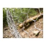 Galvanized Poultry Netting (HP-HWN2)