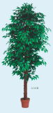 Artificial Plants and Flowers of Ficus Tree 210cm Gu-Bj-301-1512L-210cm