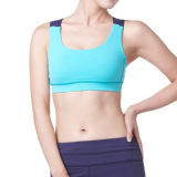 Sexy Lingerie, Fitness Crop Top Running Bra Women's Sports Wear