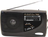 AM/FM/SW/TV Multi-Band Portable Radio  (CF-302 )