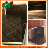Waterproof Film Faced Marine Plywood Printed Logo for Construction
