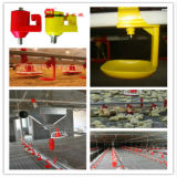 Agricultural Equipment for Chicken Production Solution with CE Certification