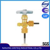 QF-5T1 Brass CNG Valve for Gas Cylinder with Safety Device