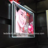 LED Customized Wall Mount Acrylic Crystal Light Box