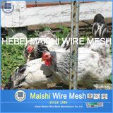 Hexagonal Chicken / Rabbit Wire Netting