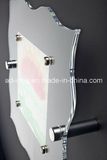 Special Shape Acrylic Display Rack/Acrylic Exhibition Stand (YT-62)