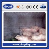 Cold Storage Room for Meat and Fish