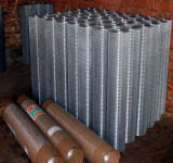 Welded Wire Mesh (fencing wire)
