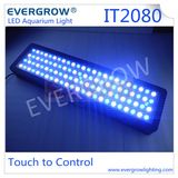 Evergrow It2080 Marine Aquatic LED Light Coral Growth Aquarium Lighting Panel