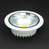 LED Down Light 21W Ldl0121