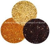 Shanxi Exporting Broom Corn Millet