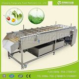 Fruit Washing Machine, Olive Washing Machine, Apple Washing Machine