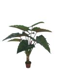 Artificial Plants and Flowers of Colocasia Esculenta