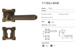 Brass Commercial Door Locks (1718SJ-MAB)