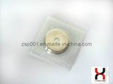 Plastic Magnetic Fastener for Clothing, Gloves