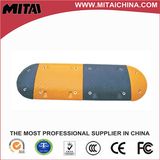 Roadway Facility Speed Bumps
