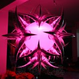 Custom Inflatable Lighting Decoration Flower Star Balloon (BMDL149)
