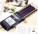 High Quality Best Sale 2b Pencil Set