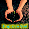 Soil Improvement ---Soil Conditioner