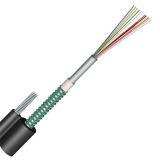 Gyxtc8s Outdoor G652d 6 Core O/H Fiber Optical Cable (GYXTC8S)