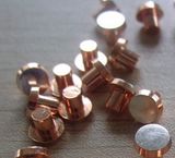 Rivet, Silver Rivet, Bimetal Rivet, Tri-Metal Rivet, Solid Rivet, Moving Rivet, Contact Rivet, Relay Point, Relay Connector, Electrical Rivet, Electronic Rivet