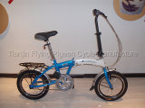 Bicycle (FD-005)