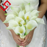 Artificial PE Calla Lily, Artificial Flower From China for Wedding