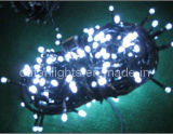 LED Holiday String Light