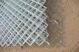 Beautiful Grid Wire Mesh